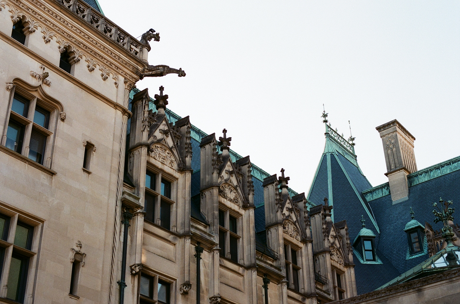 35mm Film Photography 9