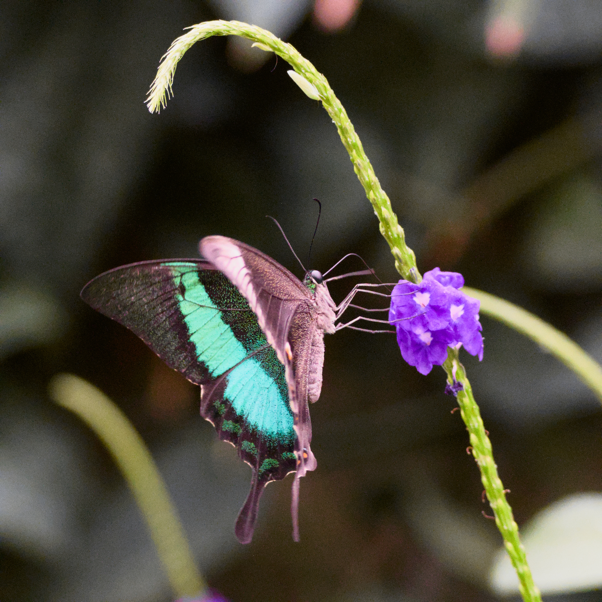Nature Photography 1