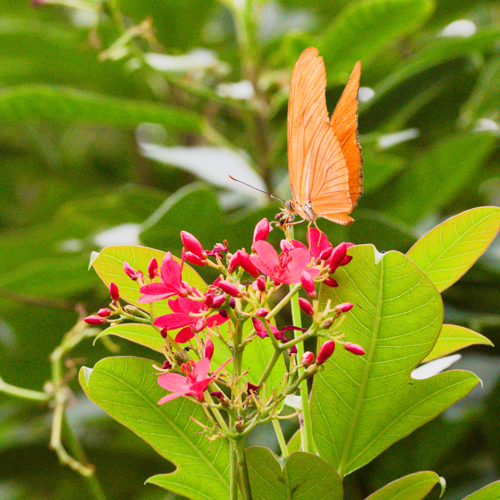 Nature Photography 3
